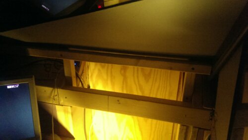 IMG_20131229_130551.jpg image