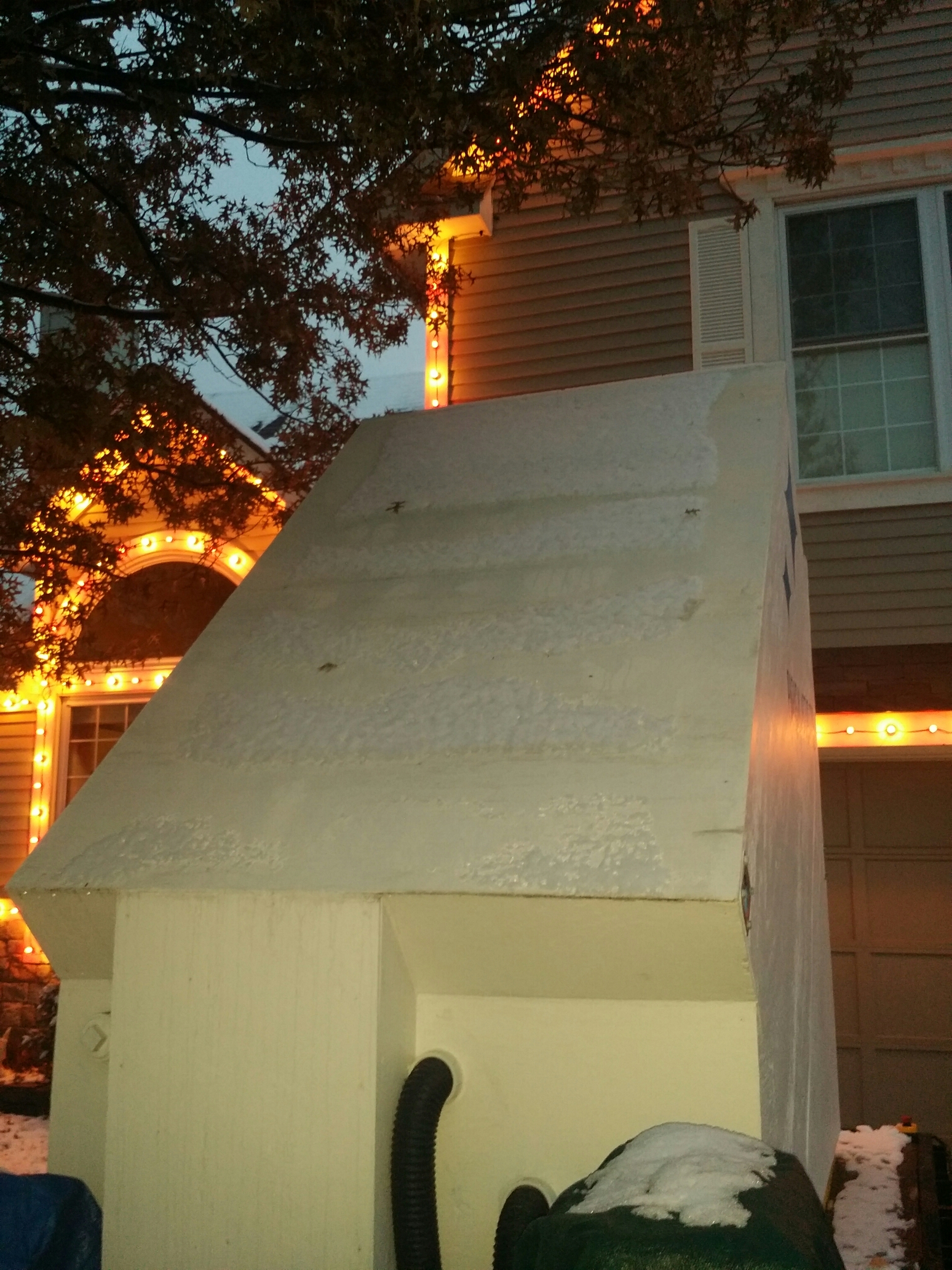 IMG_20141218_170917.jpg image